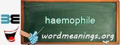 WordMeaning blackboard for haemophile